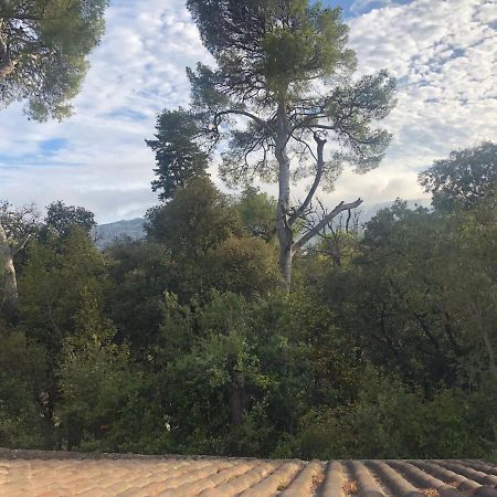 Les Magnolias Bed and Breakfast Marseilles Buitenkant foto